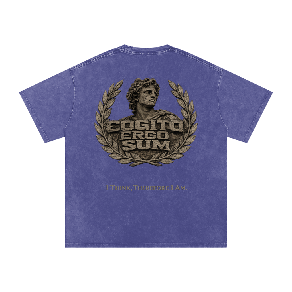 Cogito Snow Washed Oversized Cotton T-Shirt