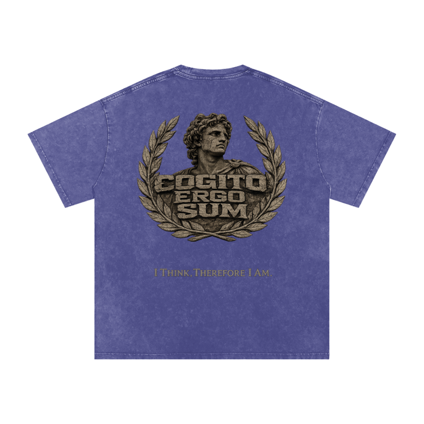 Cogito Snow Washed Oversized Cotton T-Shirt