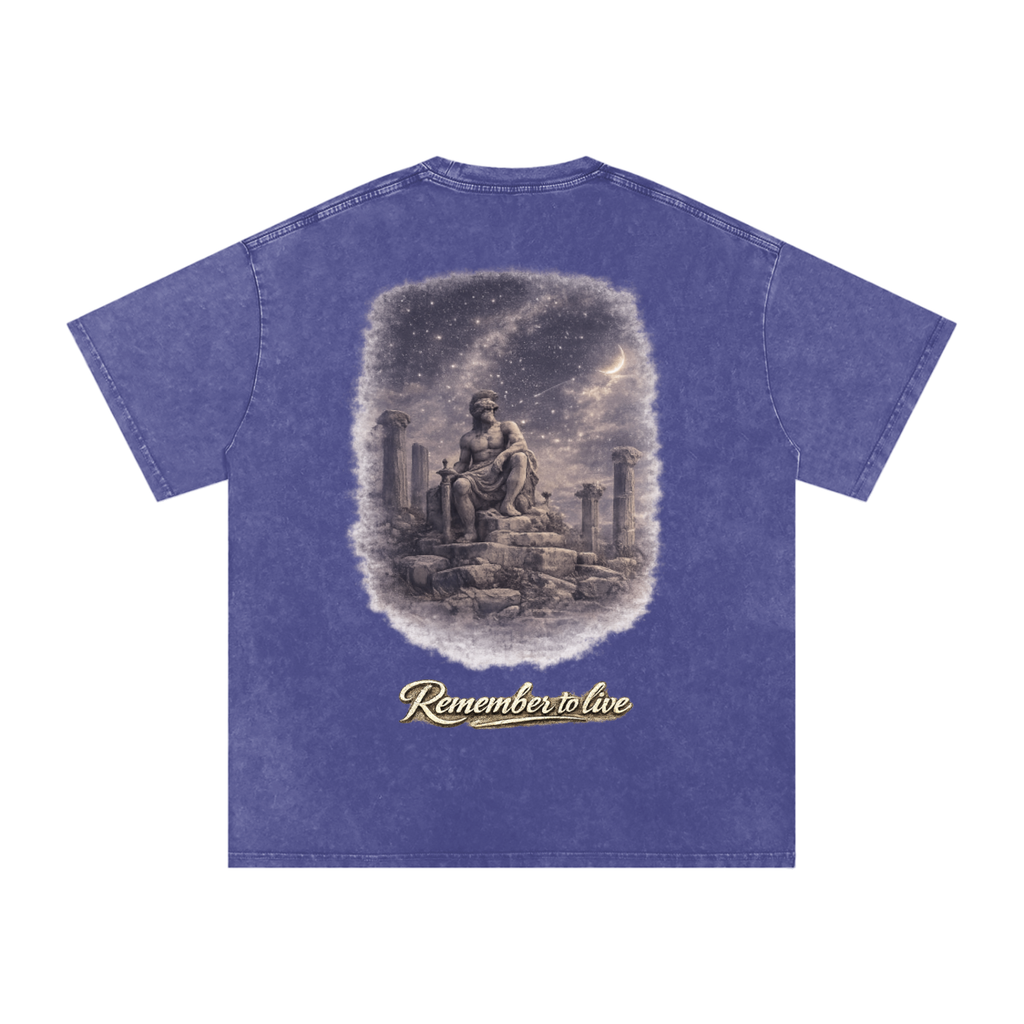 Memento Vivere Snow Washed Oversized Cotton T-Shirt